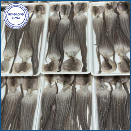 Frozen whole cleaned poulp squid on tray
