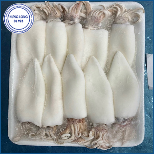 Frozen whole cleaned Arrow squid on tray