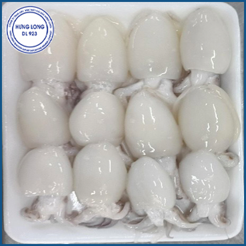 Frozen whole cleaned baby cuttlefish on tray