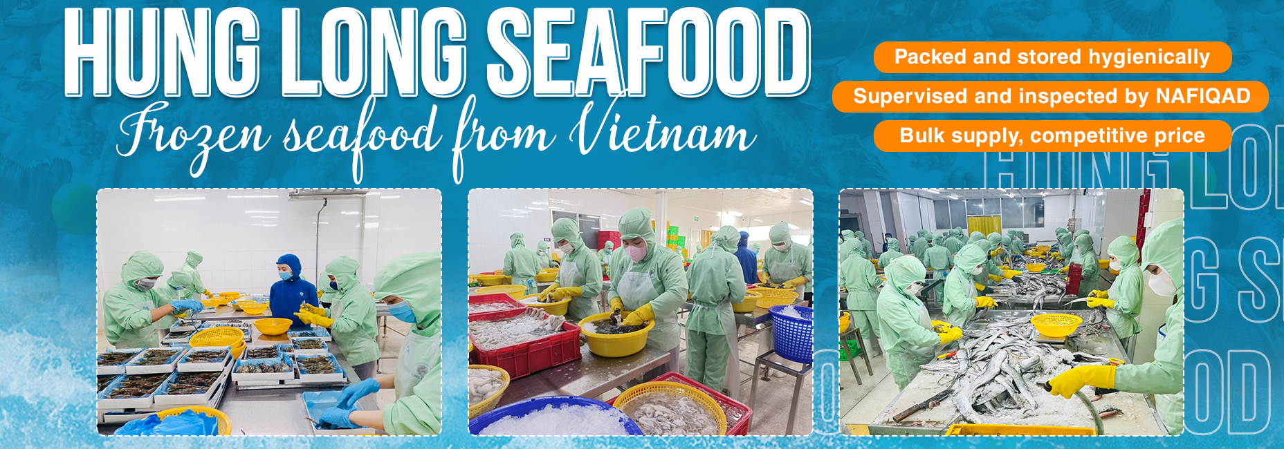 HUNG LONG SEAFOOD IMPORT AND EXPORT CO., LTD